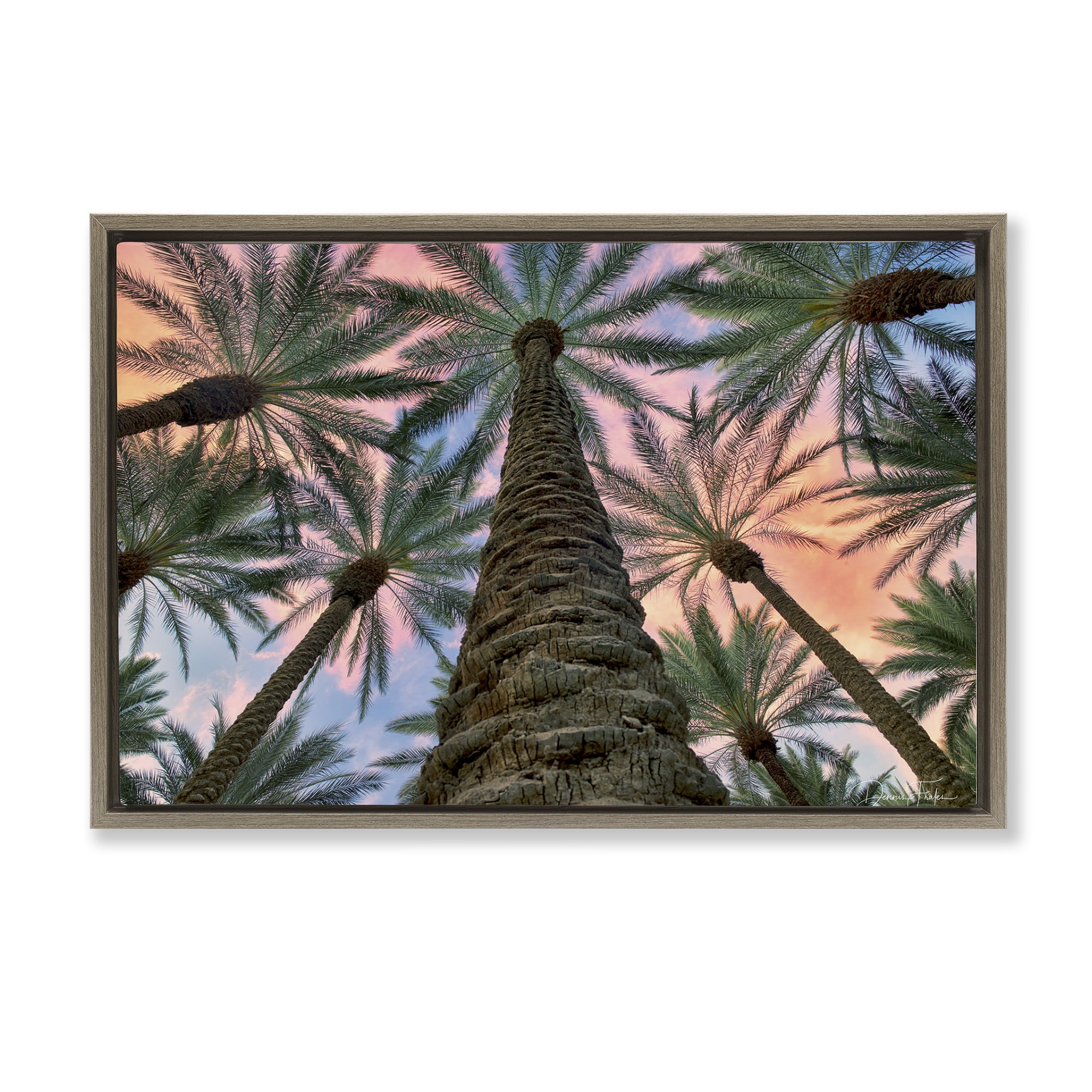 Stupell Industries Tall Overhead Palms Plants & Flowers Photography Brown Floater Framed Canvas Art Print Wall Art, 31 x 21