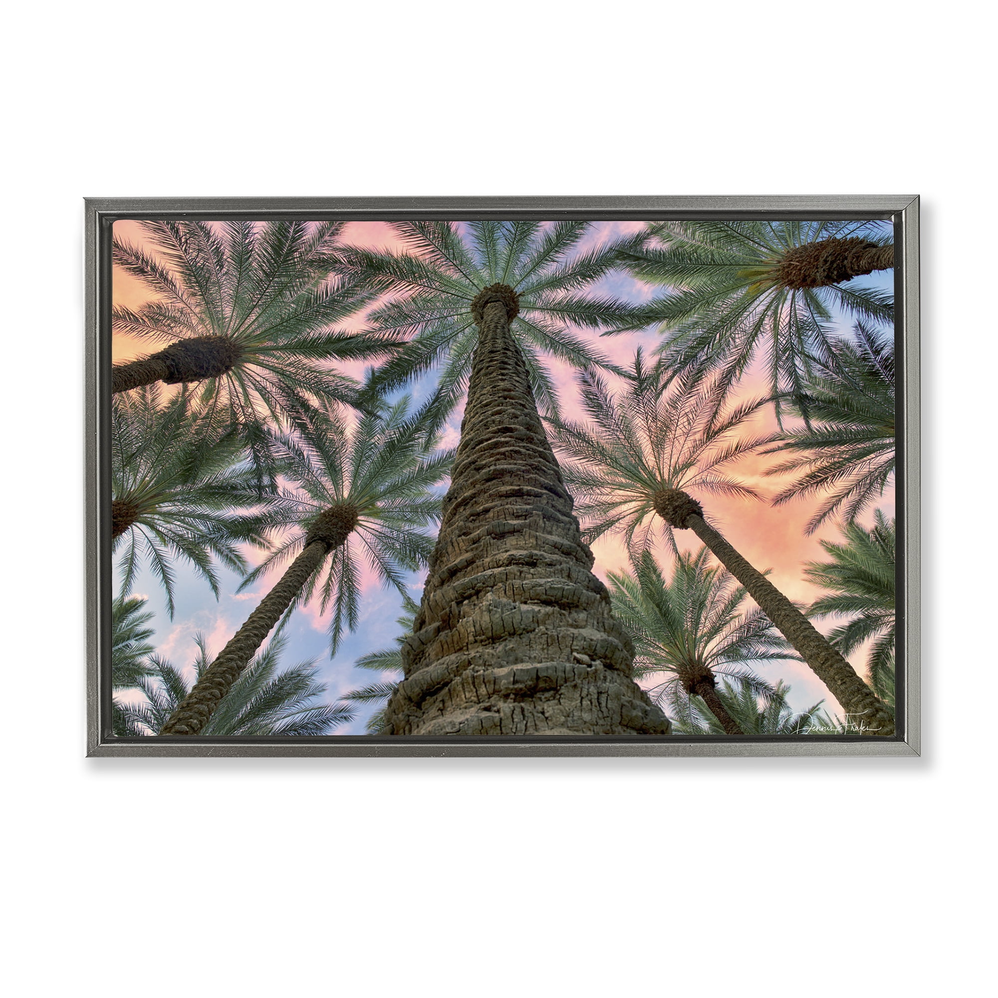 Stupell Industries Tall Overhead Palms Plants & Flowers Photography Gray Floater Framed Canvas Art Print Wall Art, 25 x 17
