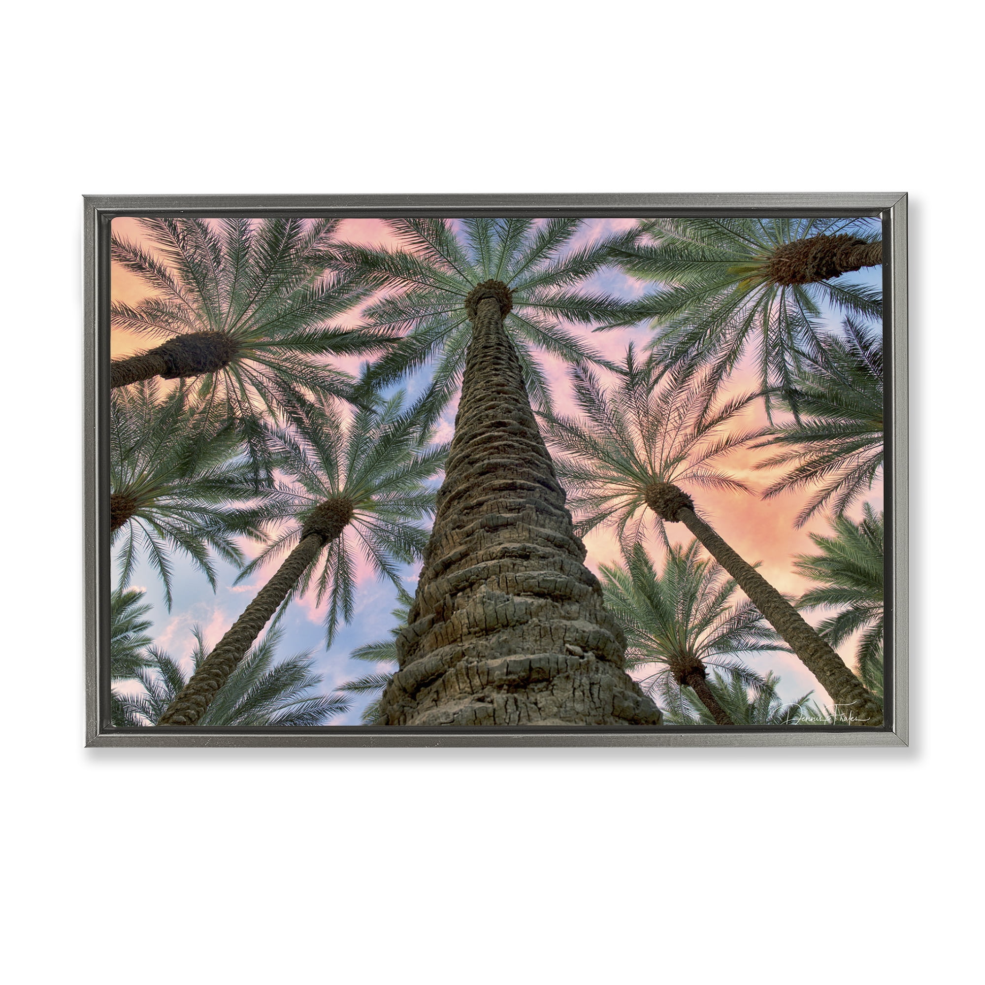 Stupell Industries Tall Overhead Palms Plants & Flowers Photography Gray Floater Framed Canvas Art Print Wall Art, 31 x 21