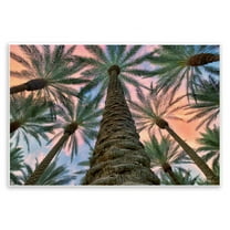 Stupell Industries Tall Overhead Palms Plants & Flowers Photography Unframed Art Print Wall Art, 15 x 10