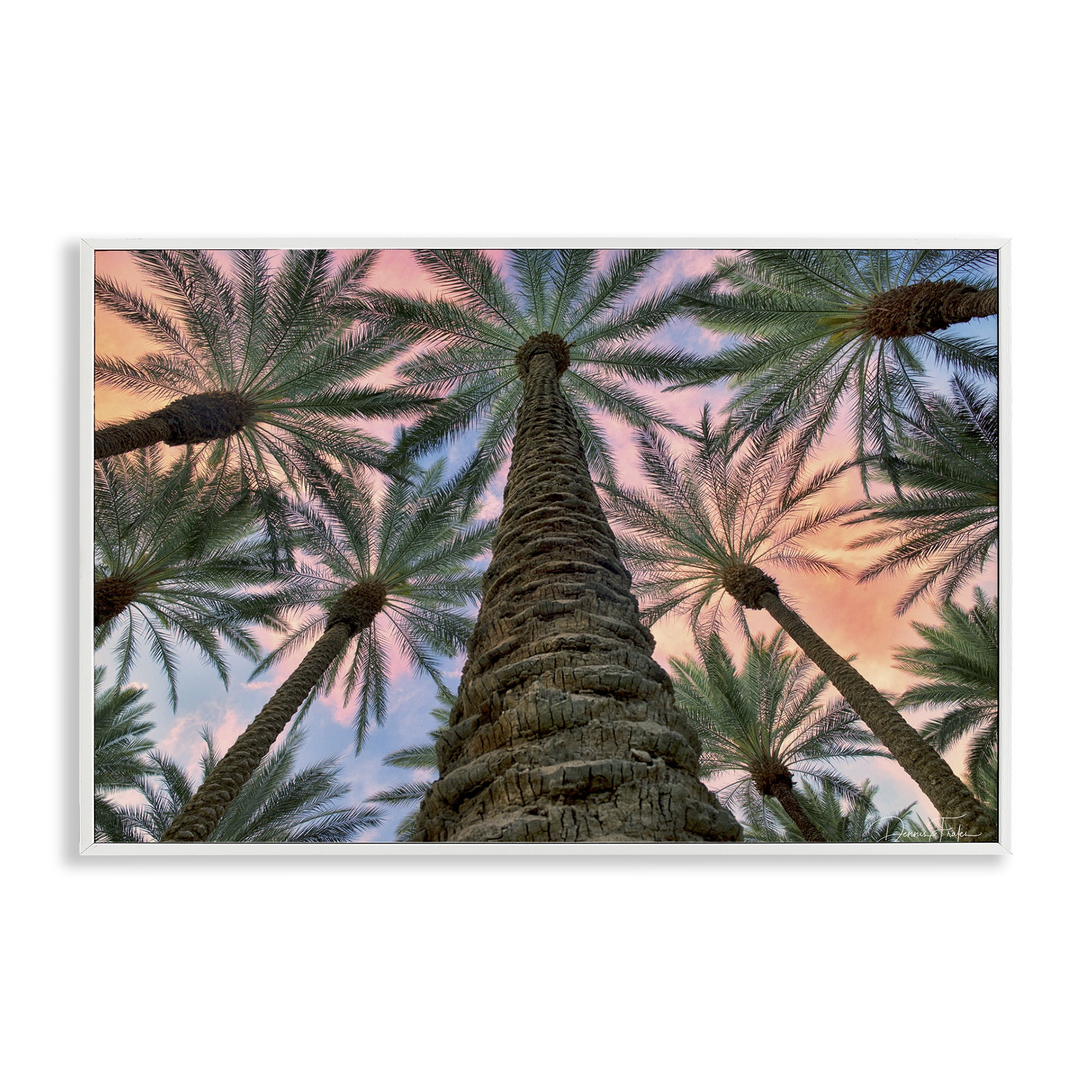 Stupell Industries Tall Overhead Palms Plants & Flowers Photography White Framed Art Print Wall Art, 30 x 20