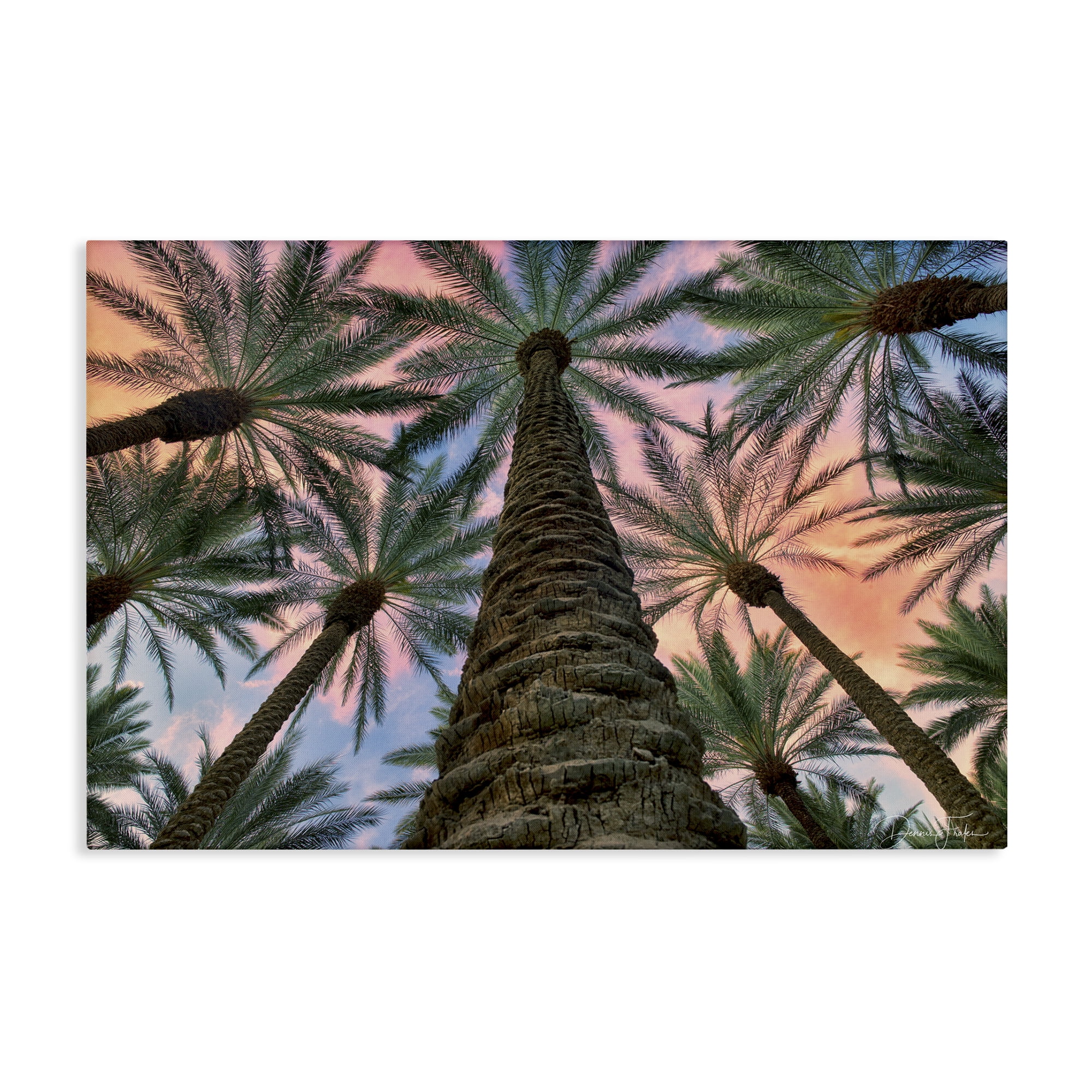 Stupell Industries Tall Overhead Palms Plants & Flowers Photography Wrapped Canvas Art Print Wall Art, 36 x 24