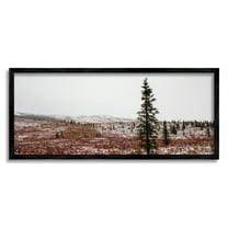 Stupell Industries Tall Pine Landscape Landscape Photography Black Framed Art Print Wall Art, 24 x 10