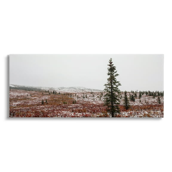 Stupell Industries Tall Pine Landscape Landscape Photography Gallery Wrapped Canvas Art Print Wall Art, 24 x 10