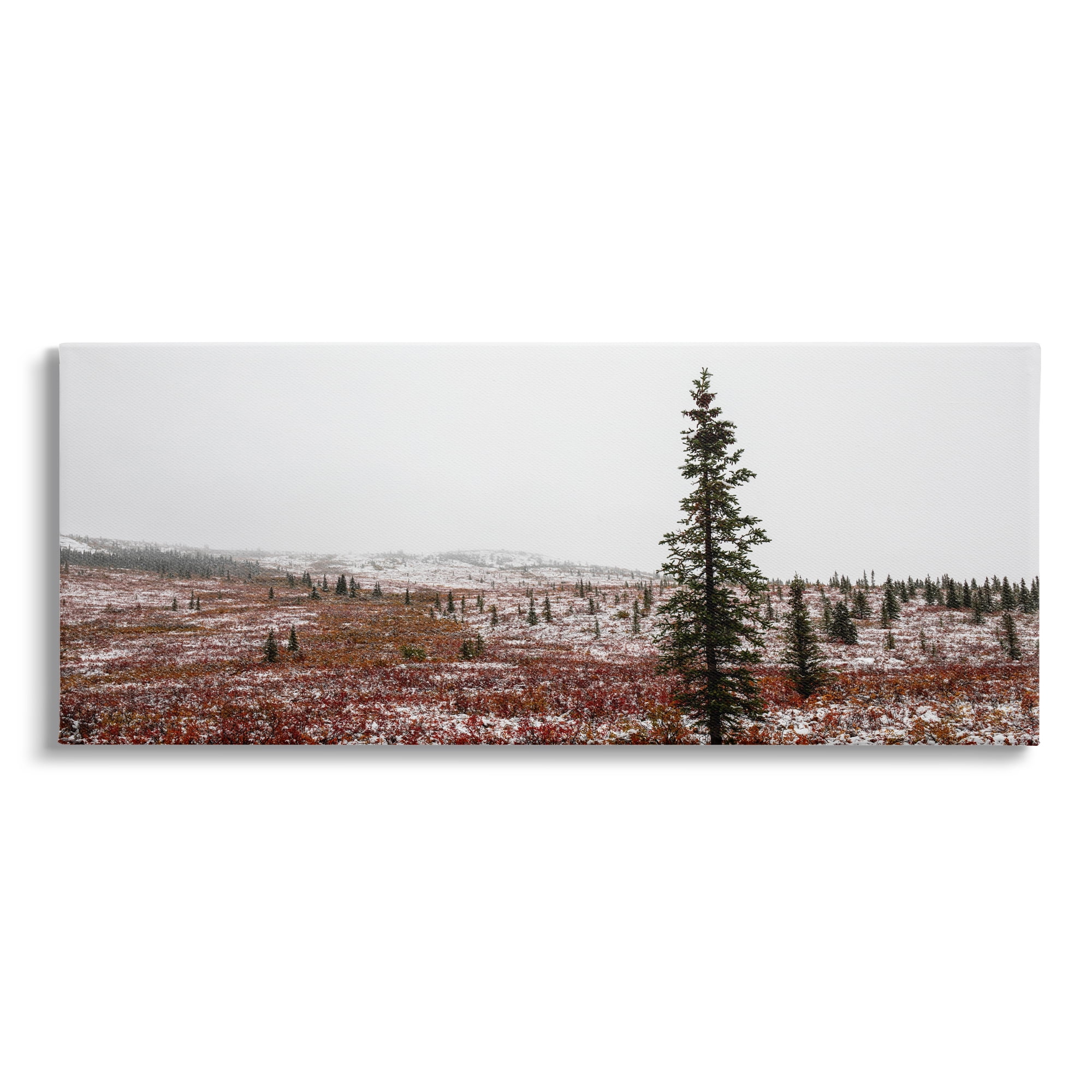 Stupell Industries Tall Pine Landscape Landscape Photography Gallery Wrapped Canvas Art Print Wall Art, 40 x 17