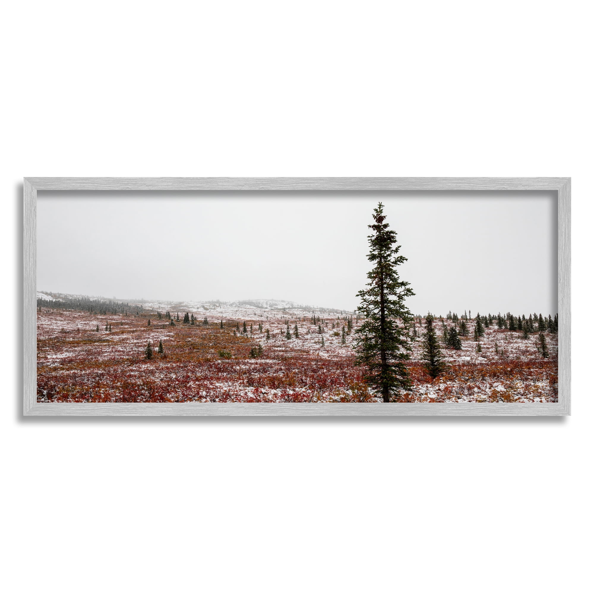 Stupell Industries Tall Pine Landscape Landscape Photography Gray Framed Art Print Wall Art, 24 x 10