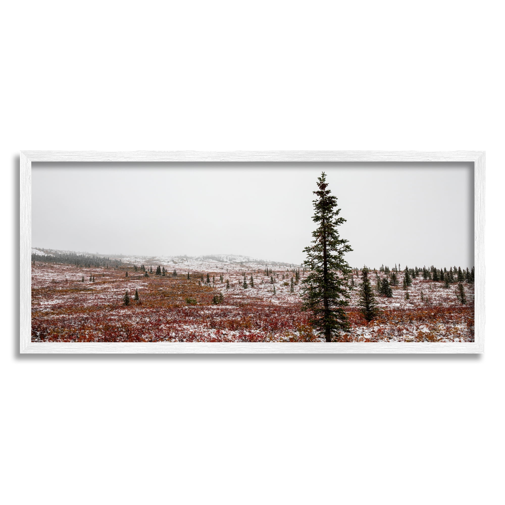 Stupell Industries Tall Pine Landscape Landscape Photography White Framed Art Print Wall Art, 30 x 13