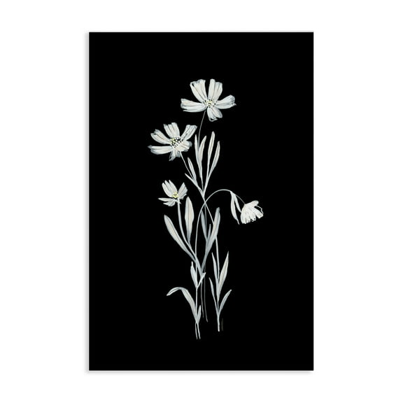 Stupell Industries Tall Stems on Black Plants & Flowers Painting Wrapped Canvas Art Print Wall Art, 20 x 30