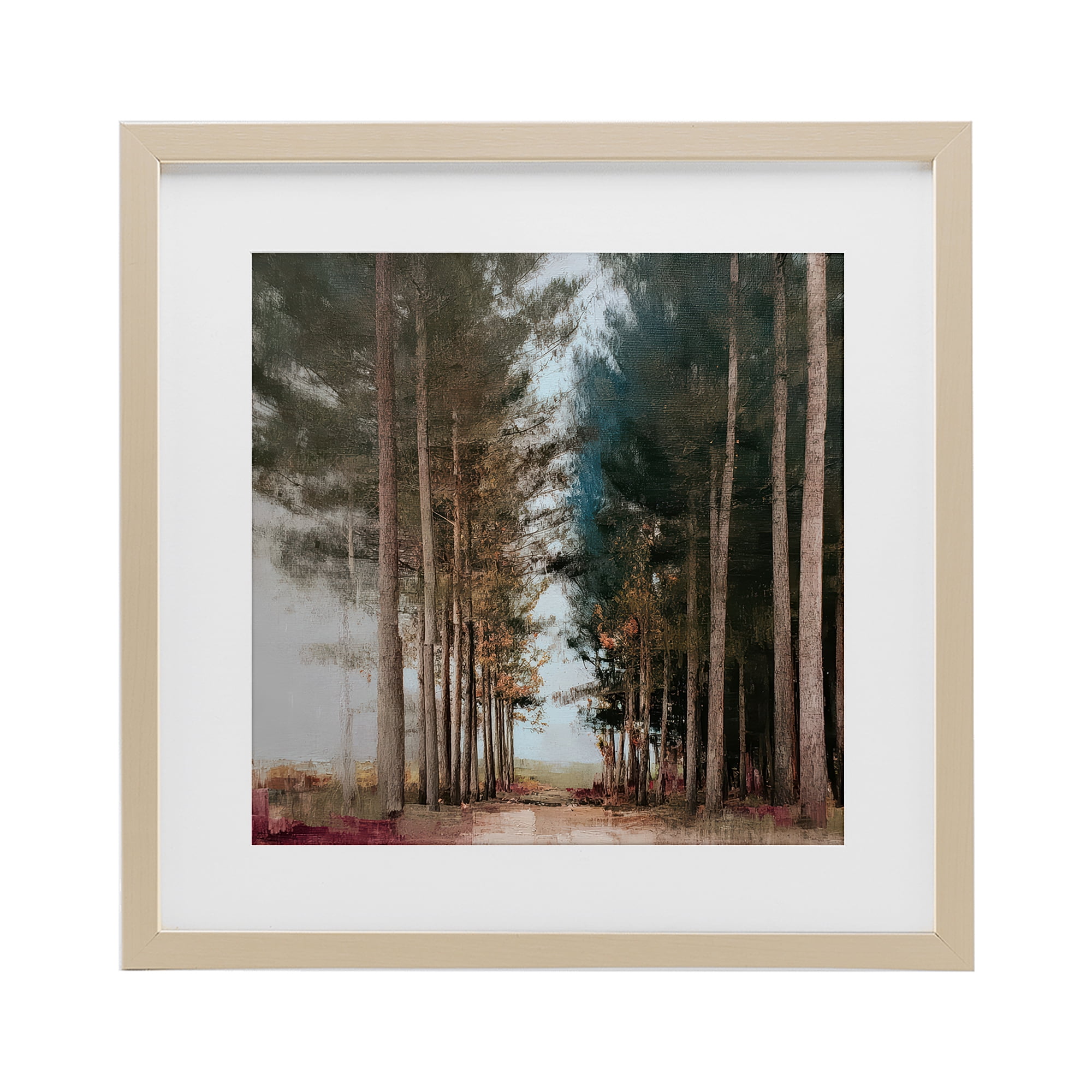 Stupell Industries Tall Trees Pathway Birch Framed Print Under Glass, design by Kim Curinga