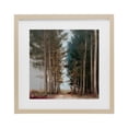 thumbnail image 1 of Stupell Industries Modern Tall Trees Pathway Birch Framed Print Under Glass, 13 x 13, by Kim Curinga, 1 of 8