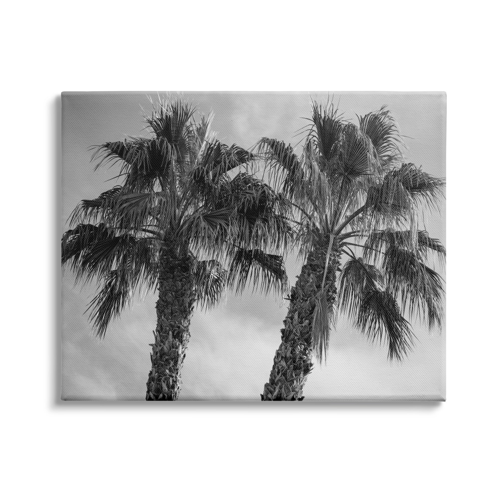 Stupell Industries Tall Tropical Palm Trees Black White Photography, 40 x 30,Design by Matheson