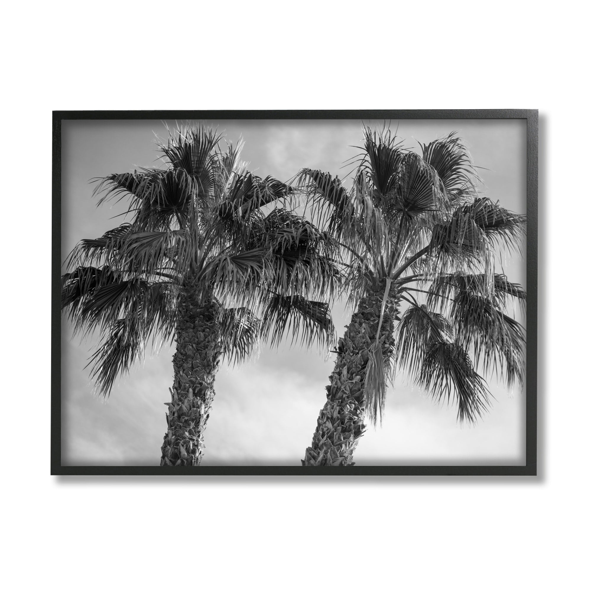 Stupell Industries Tall Tropical Palm Trees Black White Photography Black Framed Art Print Wall Art, 30x24, by Matheson