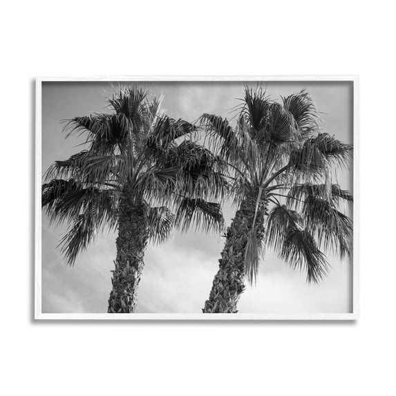 Stupell Industries Tall Tropical Palm Trees Black White Photography White Framed Art Print Wall Art, 20x16, by Matheson