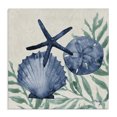 thumbnail image 1 of Stupell Industries Tropical Tampico Shells in Blue Canvas Art, 17 x 17, by Paul Brent, 1 of 7
