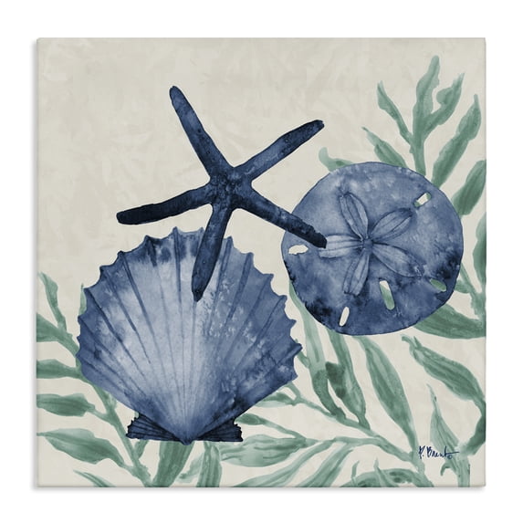 Stupell Industries Tropical Tampico Shells in Blue Canvas Art, 17 x 17, by Paul Brent