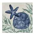 thumbnail image 1 of Stupell Industries Rustic Lodge Tampico Starfish & Sand Dollar Canvas Art, 17 x 17, by Paul Brent, 1 of 7