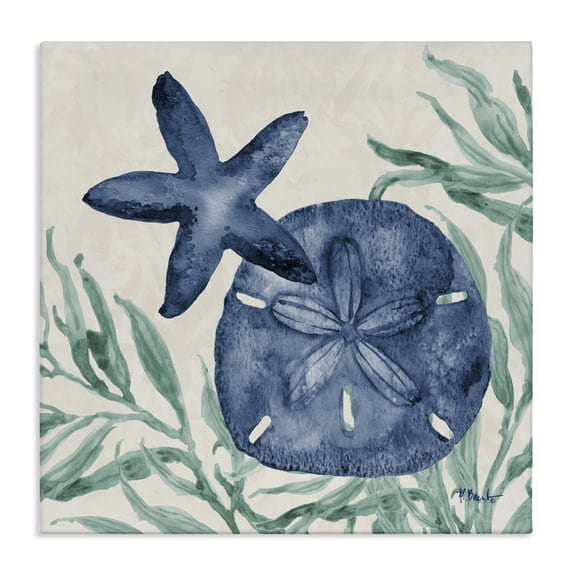 Stupell Industries Tampico Starfish & Sand Dollar Canvas Wall Art design by Paul Brent, 36 x 36