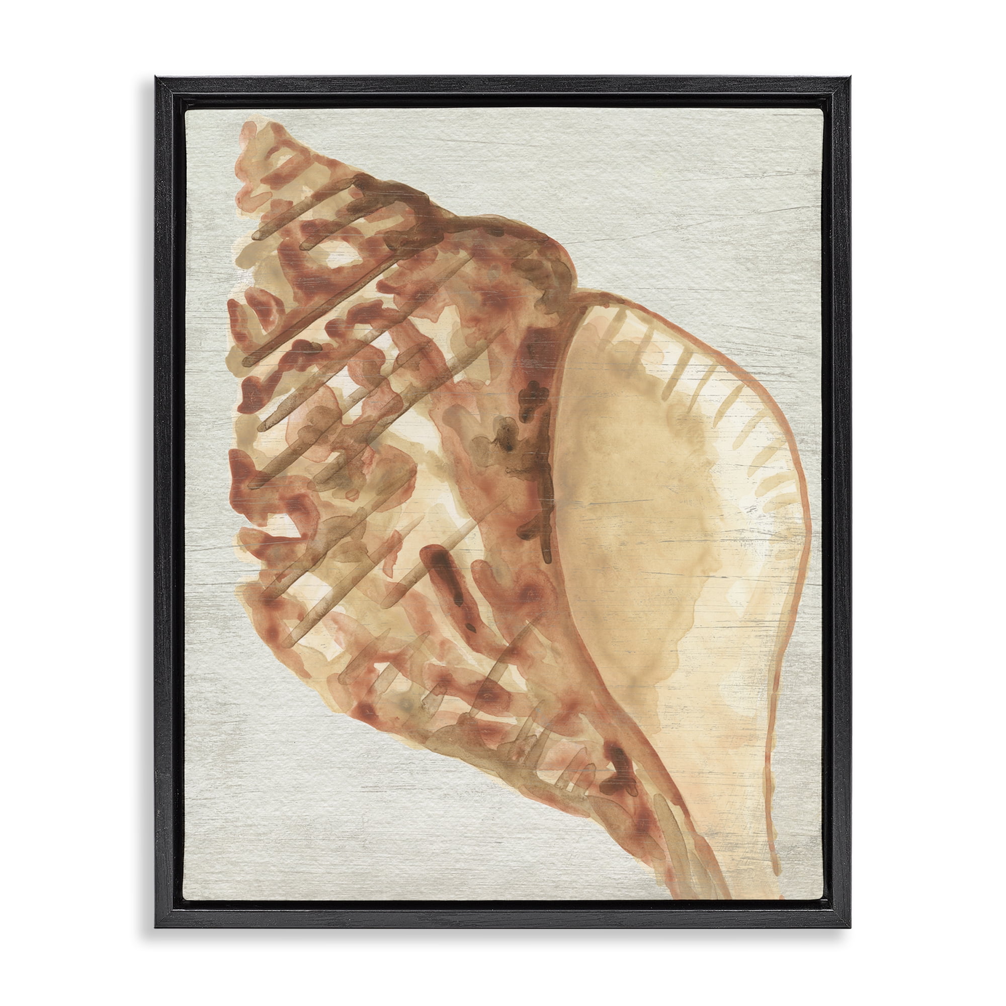Stupell Industries Tan Conch Shell Nautical & Beach Painting Black Floater Framed Canvas Art Print Wall Art, 25 x 31