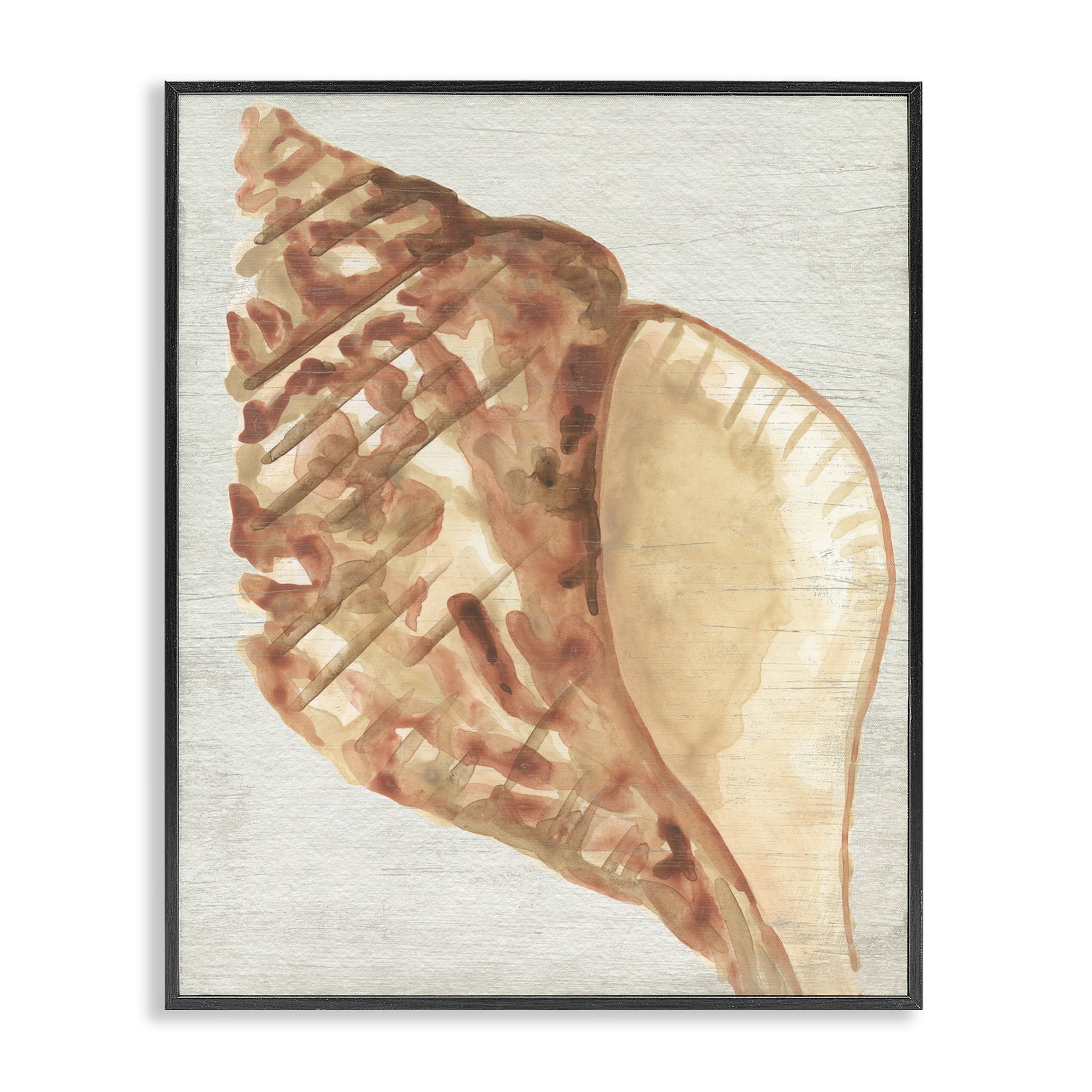 Stupell Industries Tan Conch Shell Nautical & Beach Painting Black Framed Art Print Wall Art, 16 x 20