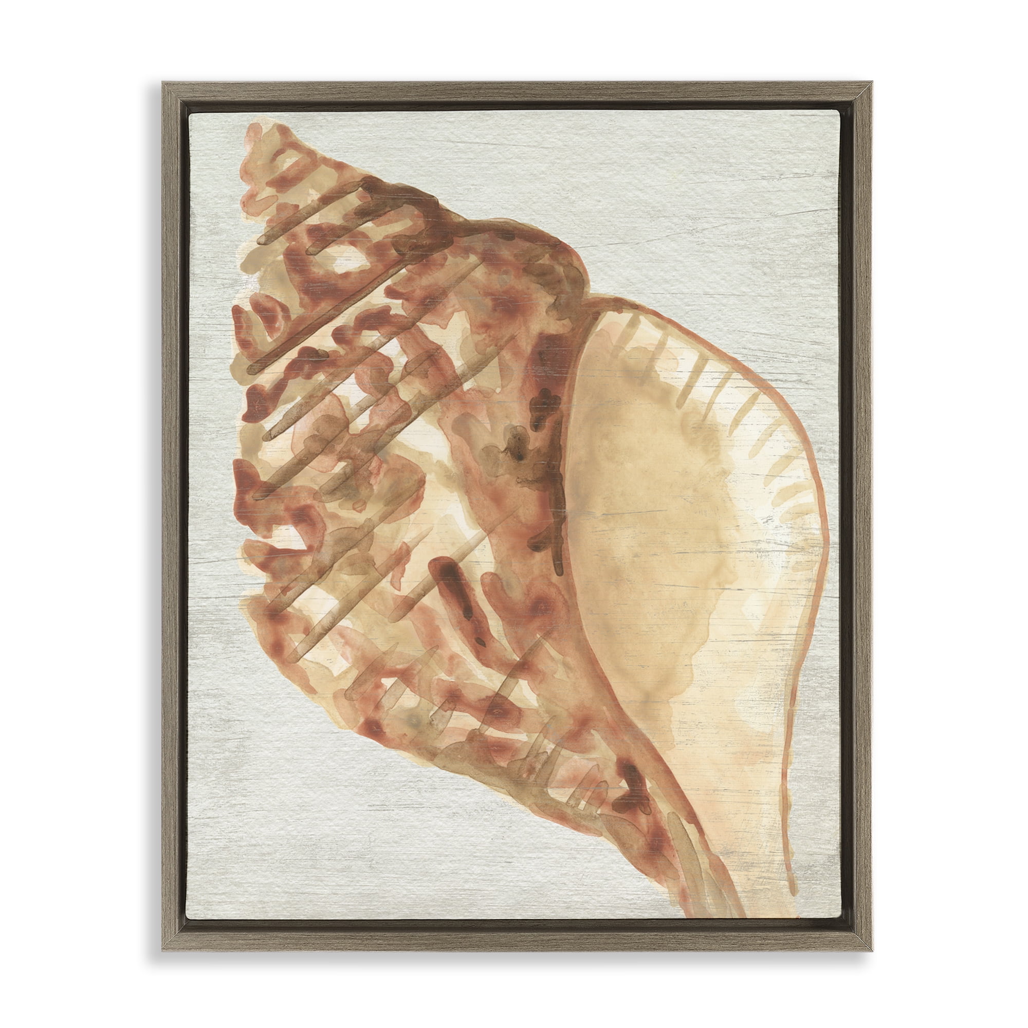 Stupell Industries Tan Conch Shell Nautical & Beach Painting Brown Floater Framed Canvas Art Print Wall Art, 25 x 31
