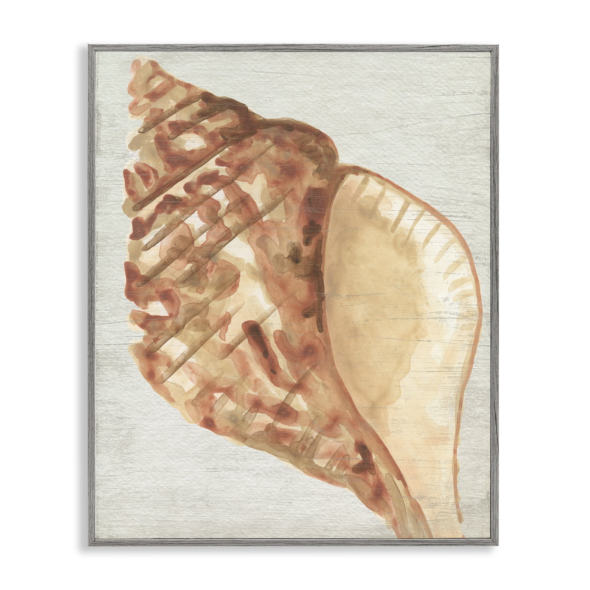 Stupell Industries Tan Conch Shell Nautical & Beach Painting Gray Framed Art Print Wall Art, 16 x 20