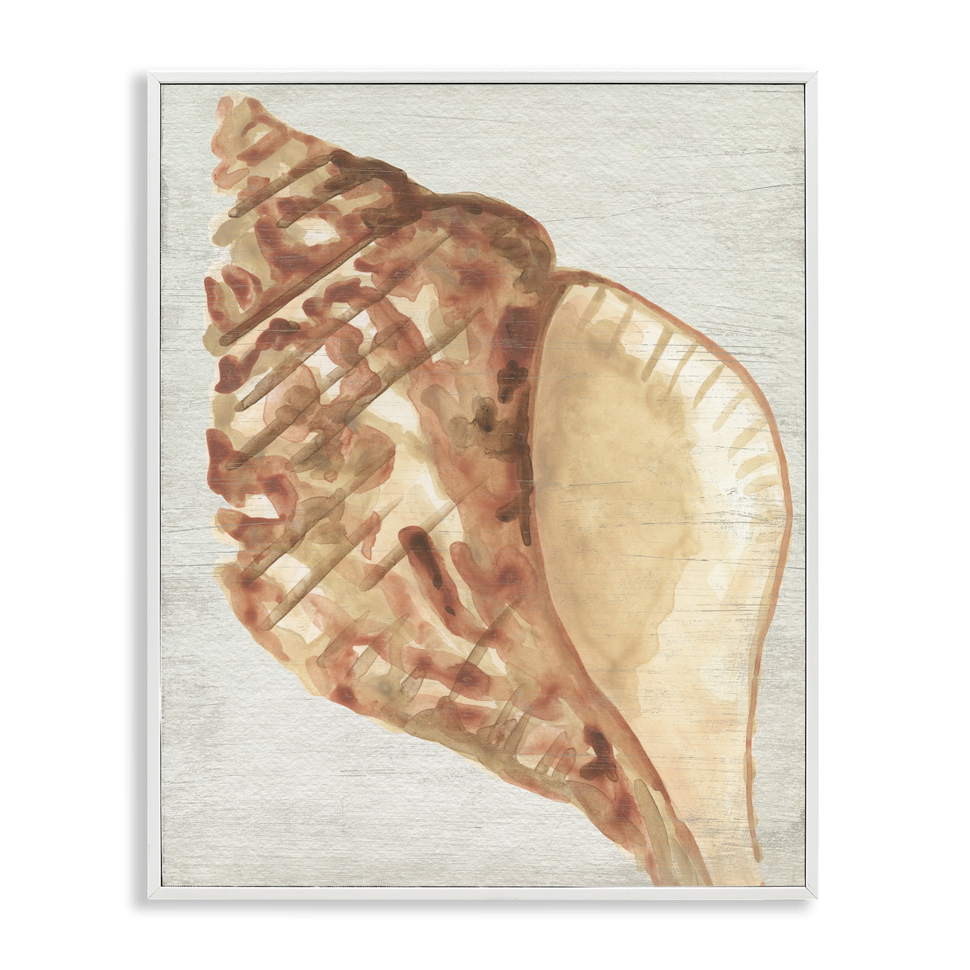 Stupell Industries Tan Conch Shell Nautical & Beach Painting White Framed Art Print Wall Art, 24 x 30