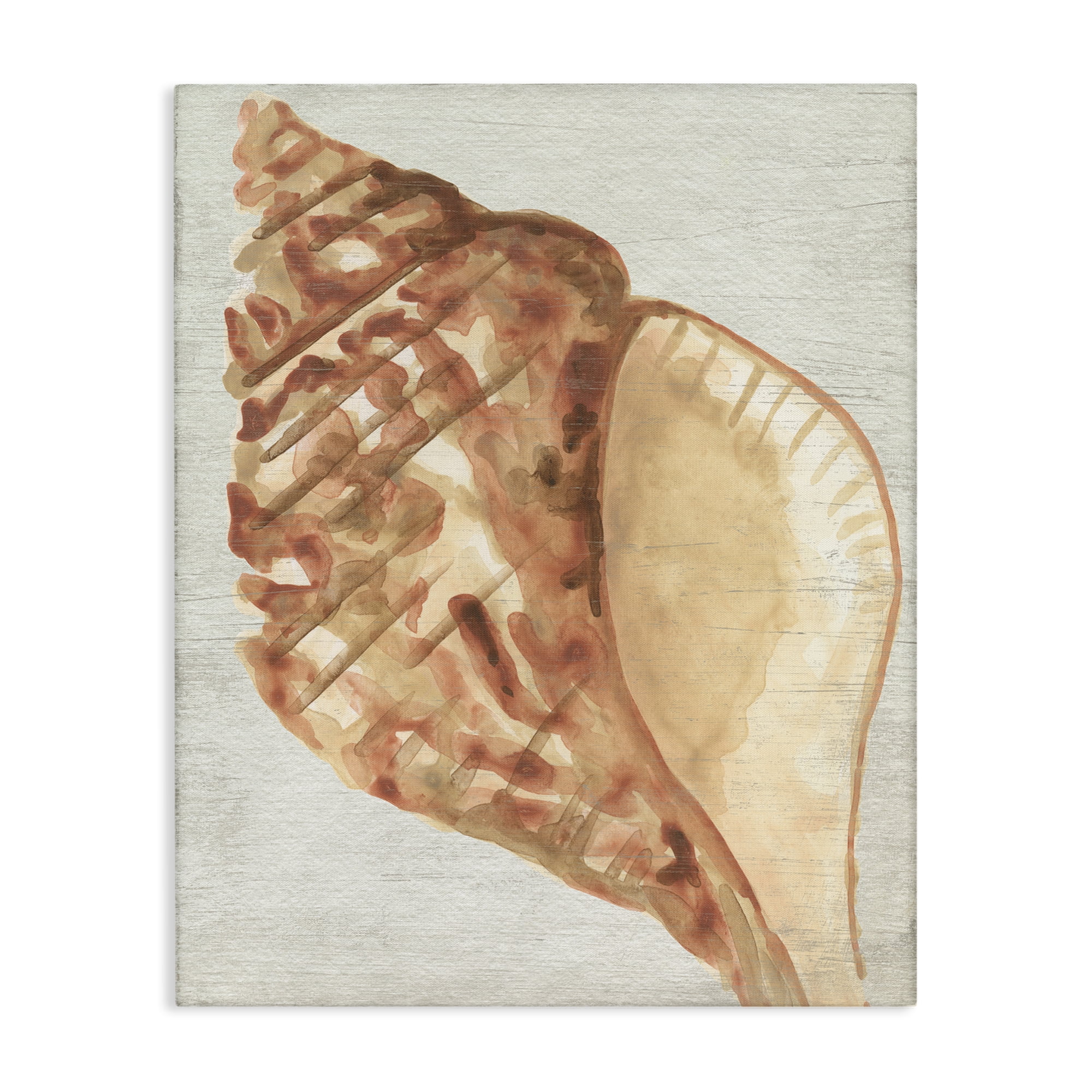 Stupell Industries Tan Conch Shell Nautical & Beach Painting Wrapped Canvas Art Print Wall Art, 16 x 20