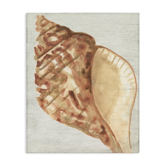 Stupell Industries Tan Conch Shell Nautical & Beach Painting Wrapped Canvas Art Print Wall Art, 24 x 30