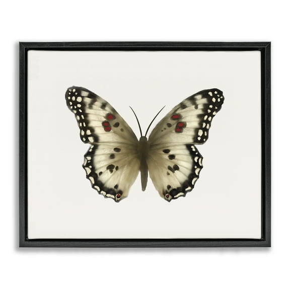 Stupell Industries Tan Symmetrical Butterfly Animals Painting Black Floater Framed Canvas Art Print Wall Art, 21 x 17