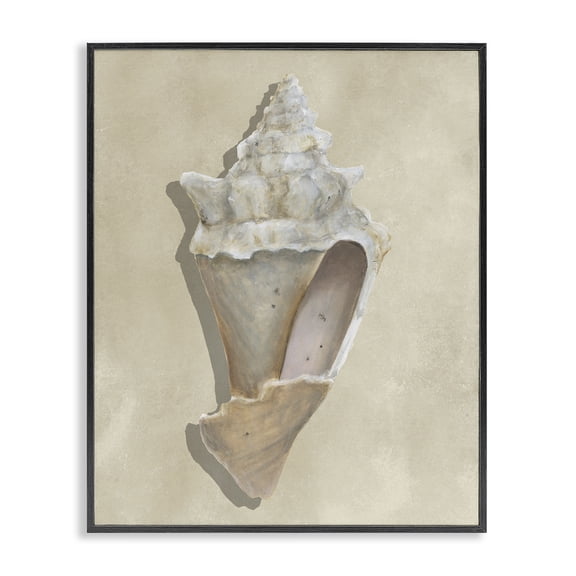 Stupell Industries Tan Toned Conch Shell Animals Painting Black Framed Art Print Wall Art, 11 x 14