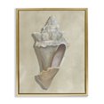 thumbnail image 1 of Stupell Industries Coastal Tan Toned Conch Shell Gold Floating Frame Canvas Art, 17 x 21, by Michael Willett, 1 of 7