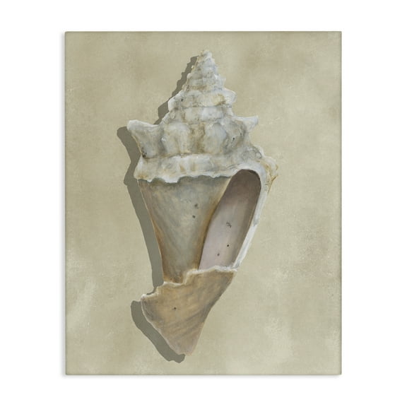 Stupell Industries Tan Toned Conch Shell Animals Painting Wrapped Canvas Canvas Art Print Wall Art, 30 x 40