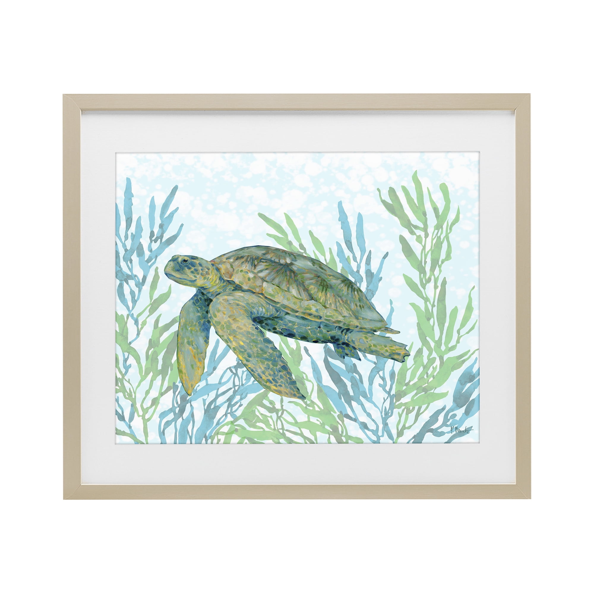 Stupell Industries Tasman Turtle in Seagrass Birch Framed Print Under Glass, design by Paul Brent