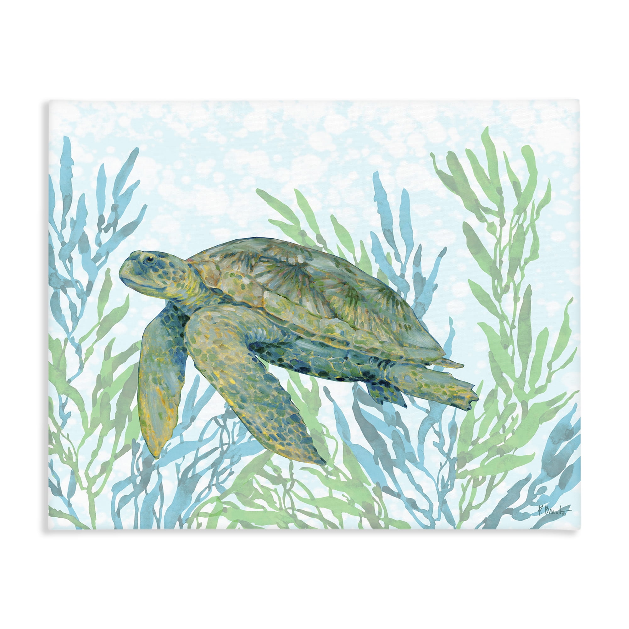 Stupell Industries Tasman Turtle in Seagrass Canvas Wall Art, design by Paul Brent