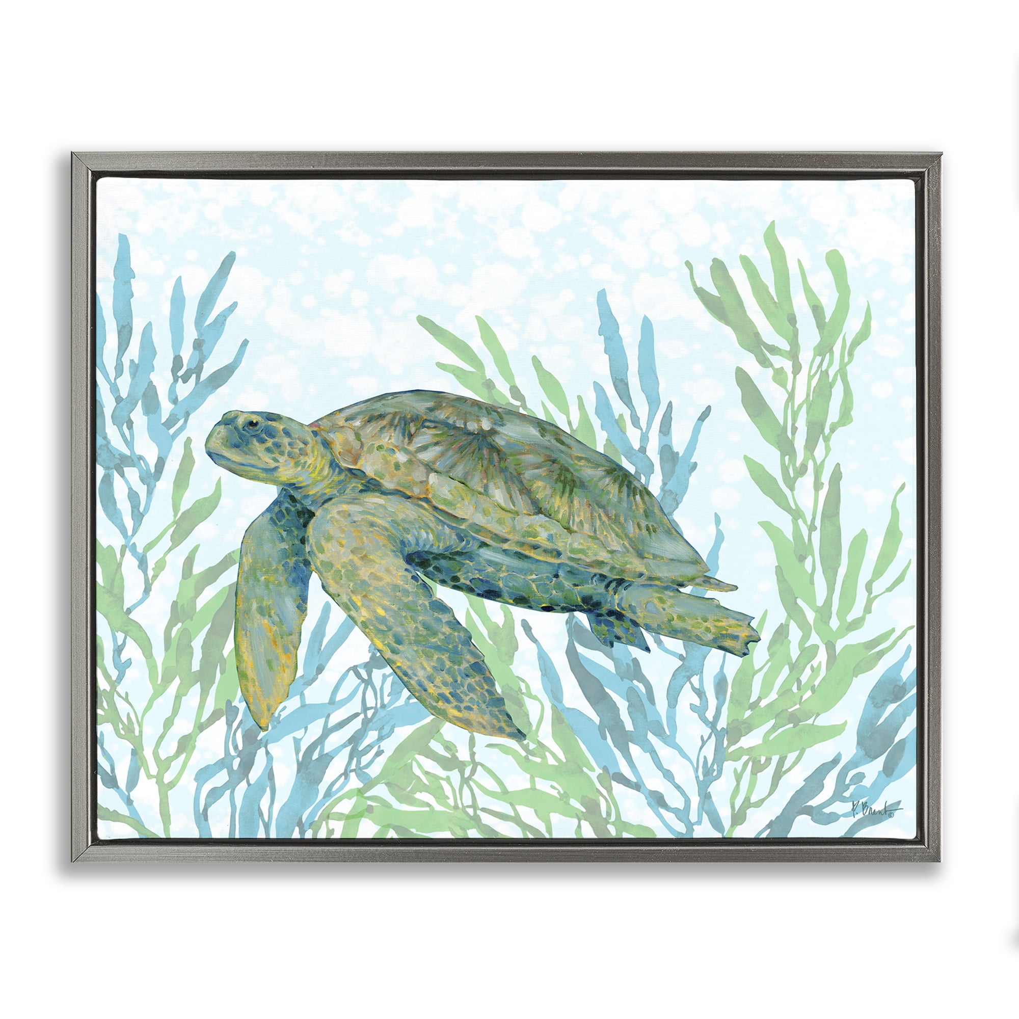 Stupell Industries Tasman Turtle in Seagrass Gray Framed Floater Canvas Wall Art, design by Paul Brent