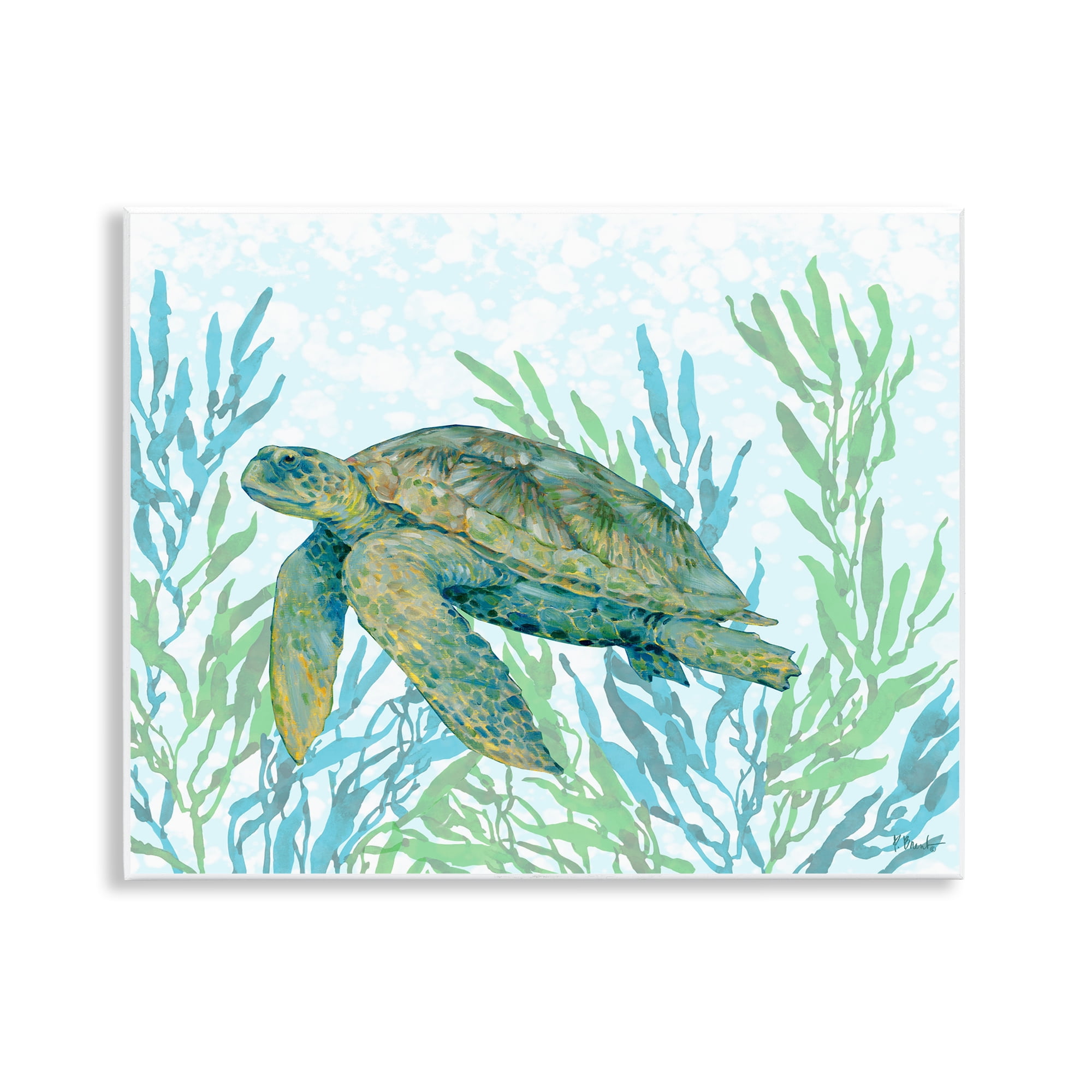 Stupell Industries Tasman Turtle in Seagrass Wall Plaque Art, design by Paul Brent