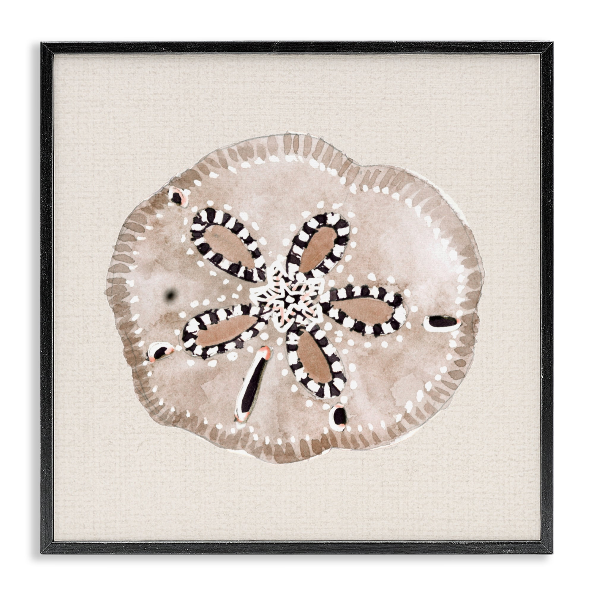 Stupell Industries Taupe & Beige Sand Dollar Black Framed Giclee Art, design by Lanie Loreth