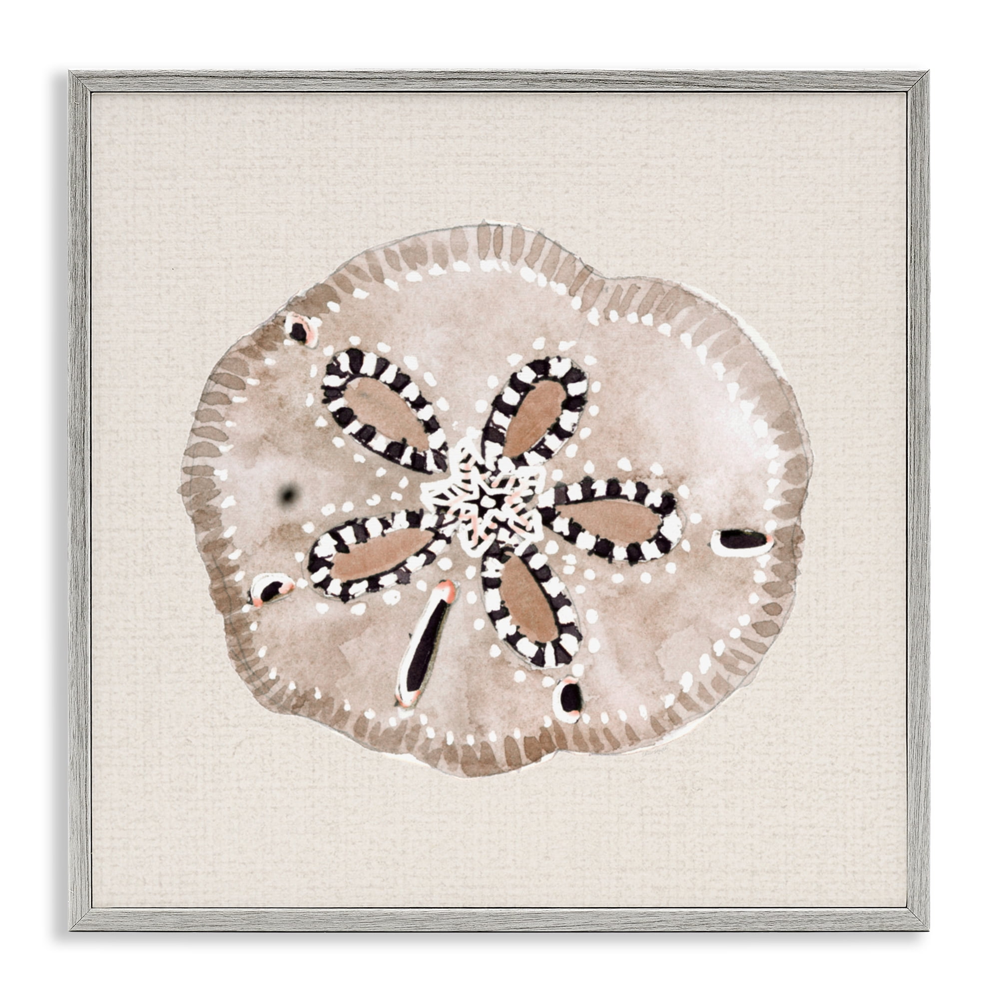 Stupell Industries Taupe & Beige Sand Dollar Gray Framed Giclee Art, design by Lanie Loreth