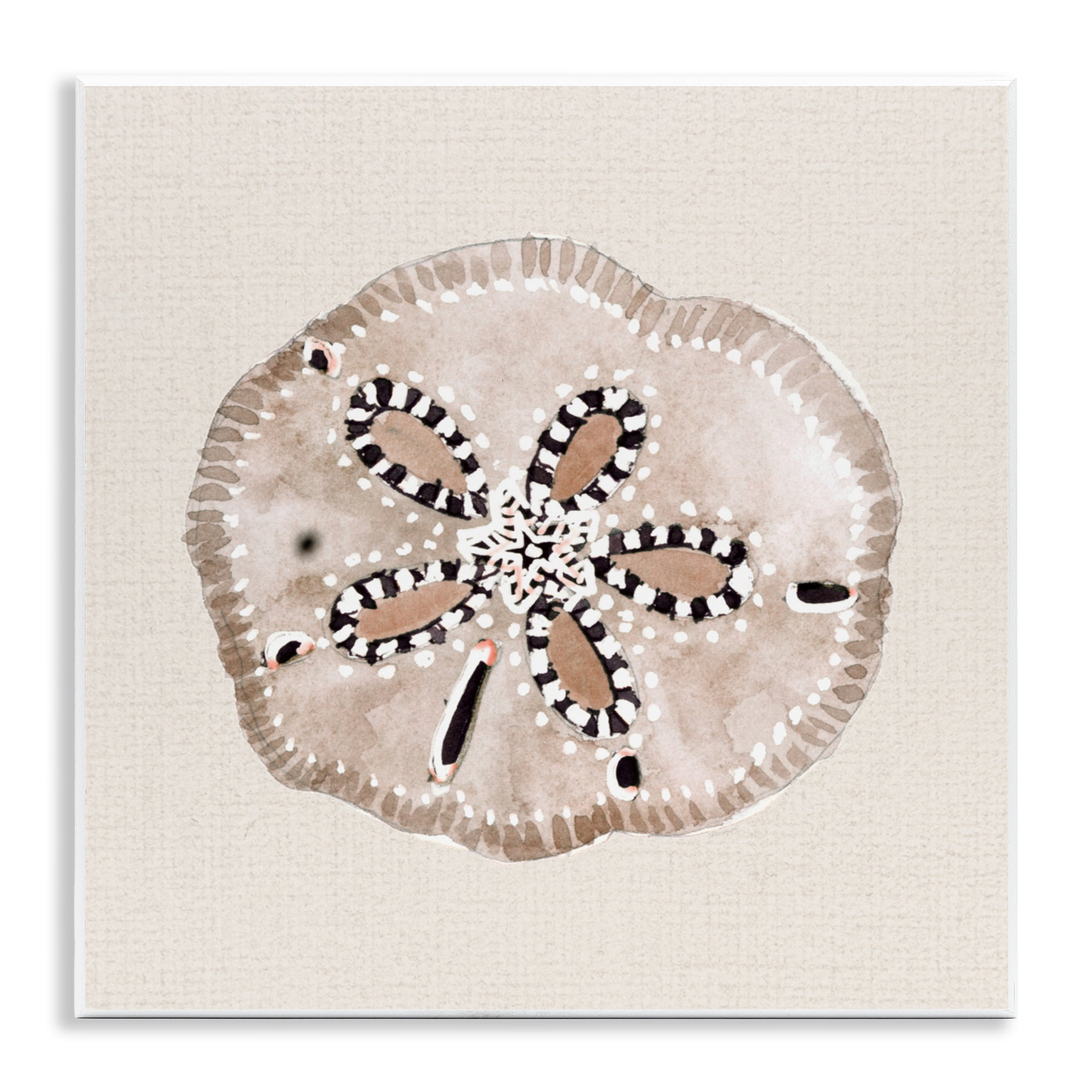 Stupell Industries Taupe & Beige Sand Dollar Wall Plaque Art, design by Lanie Loreth