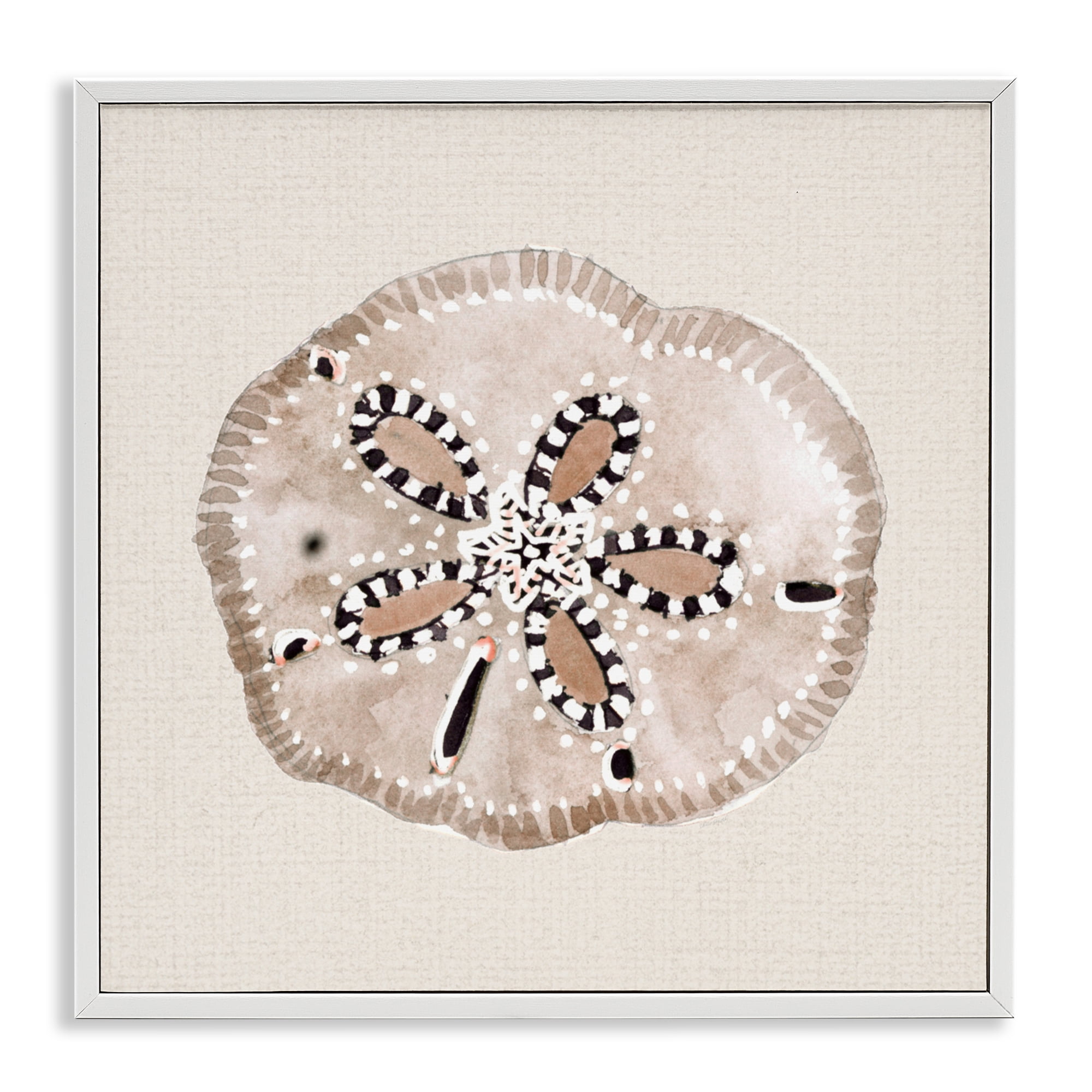 Stupell Industries Taupe & Beige Sand Dollar White Framed Giclee Art, design by Lanie Loreth