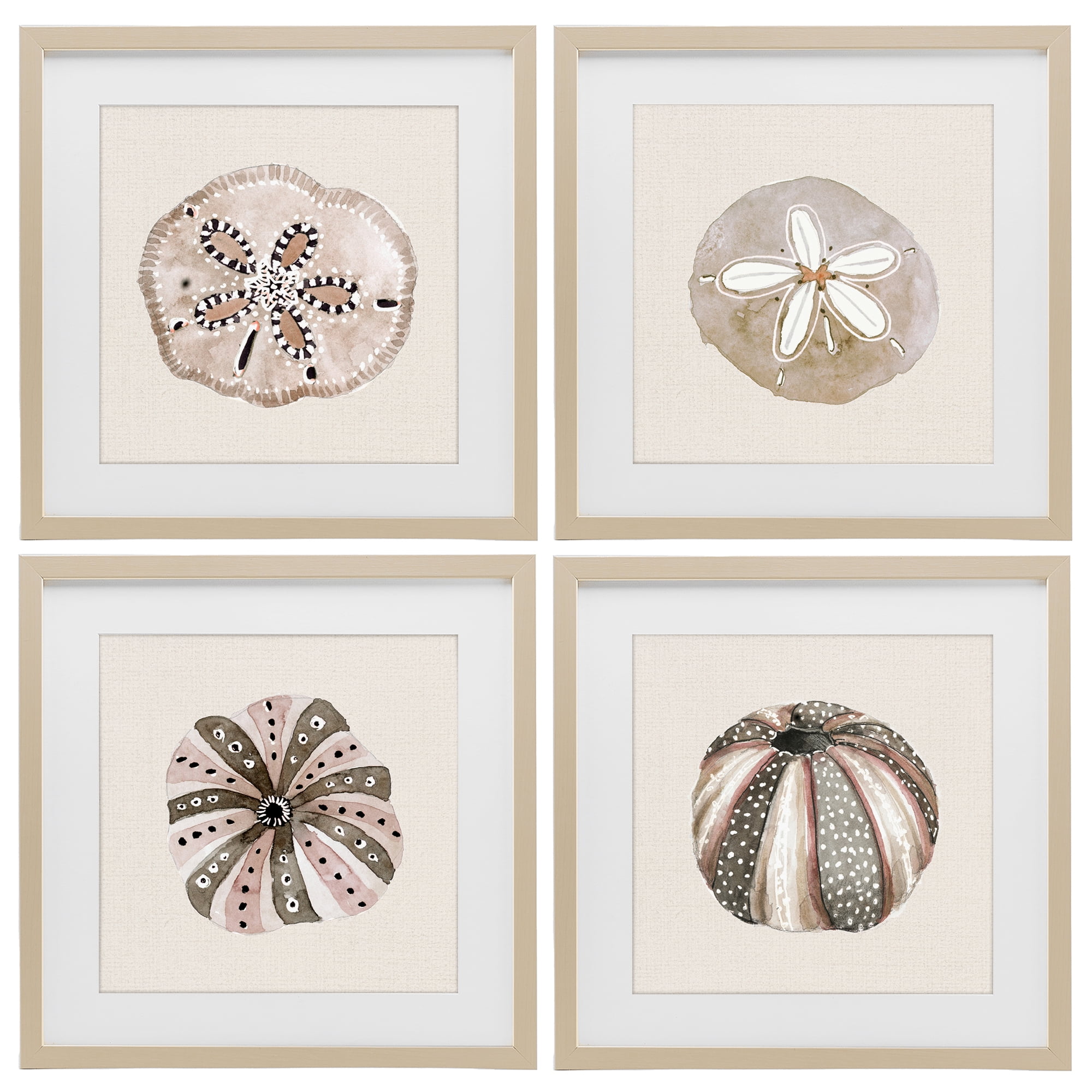 Stupell Industries Taupe & Beige Sea Creatures 4 Piece Birch Framed Print Under Glass Set, design by Lanie Loreth