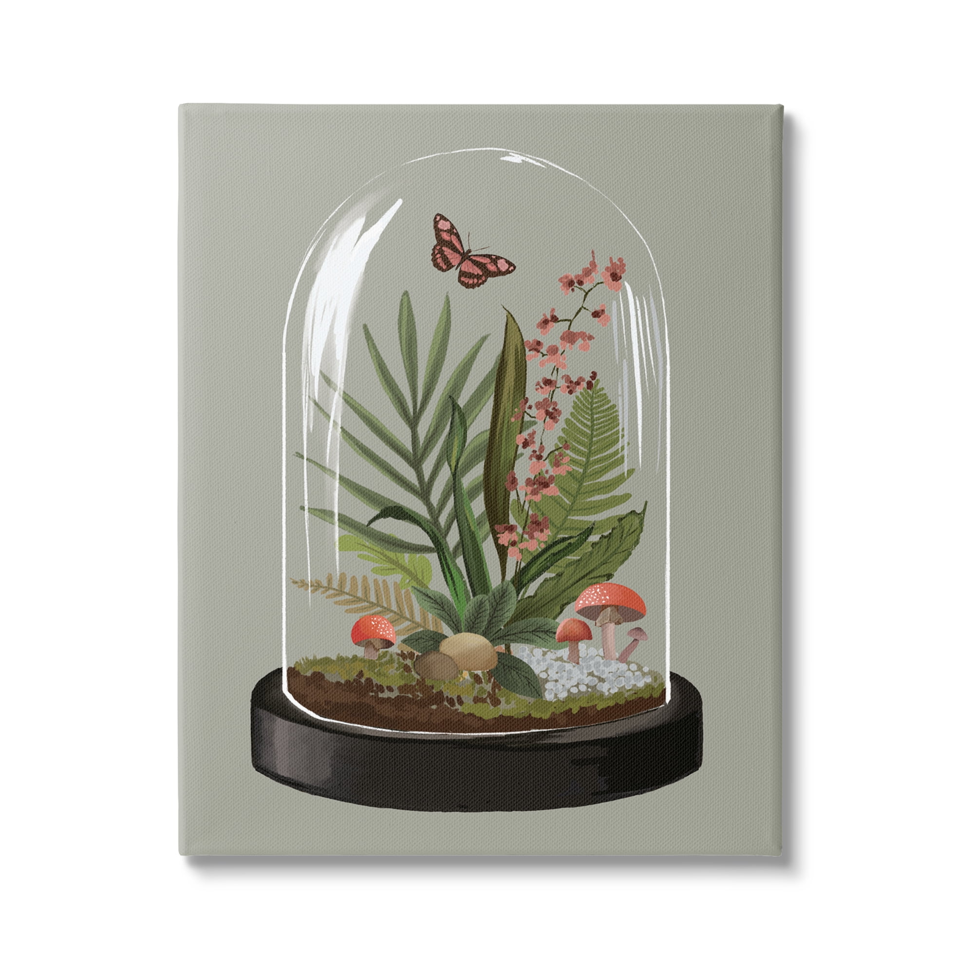 Stupell Industries Terrarium Dome Wildlife Nature Blooming Butterfly Botanicals Graphic Art Gallery Wrapped Canvas Print Wall Art, Design by House of Rose