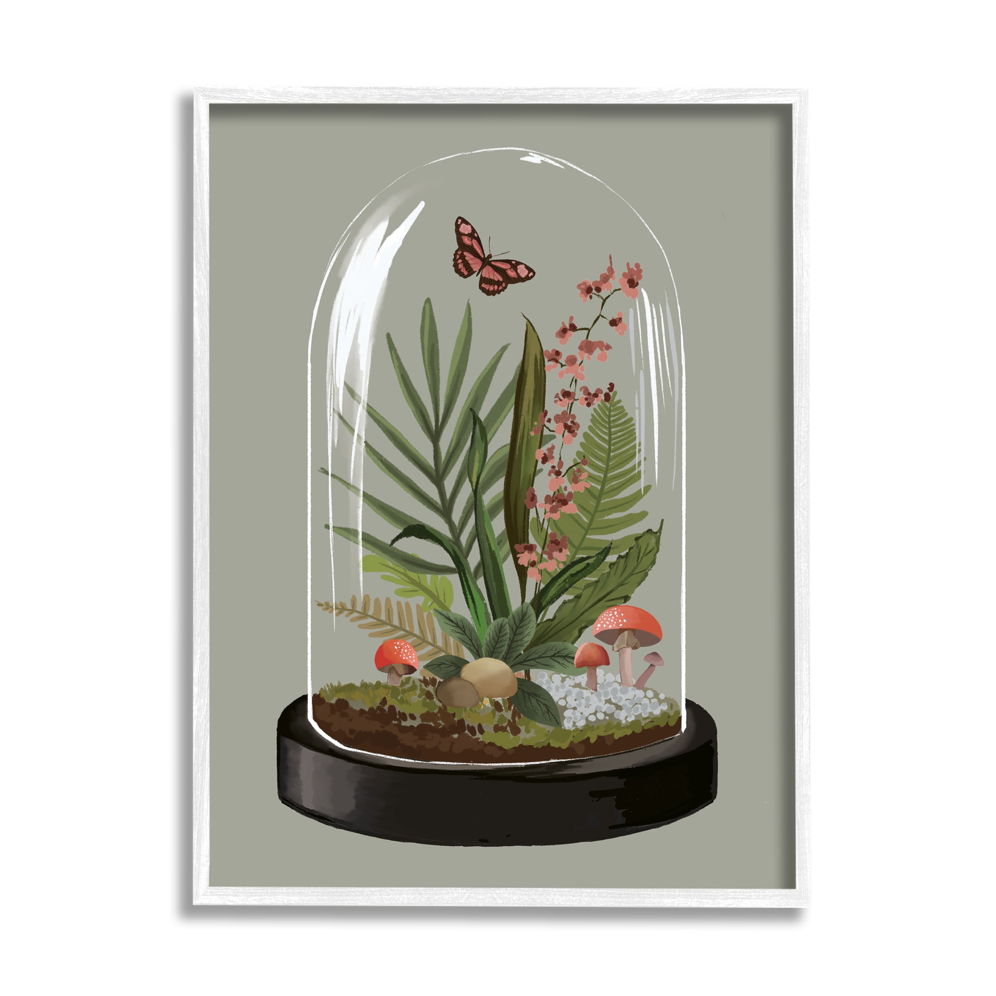 Stupell Industries Terrarium Dome Wildlife Nature Blooming Butterfly Botanicals Graphic Art White Framed Art Print Wall Art, Design by House of Rose