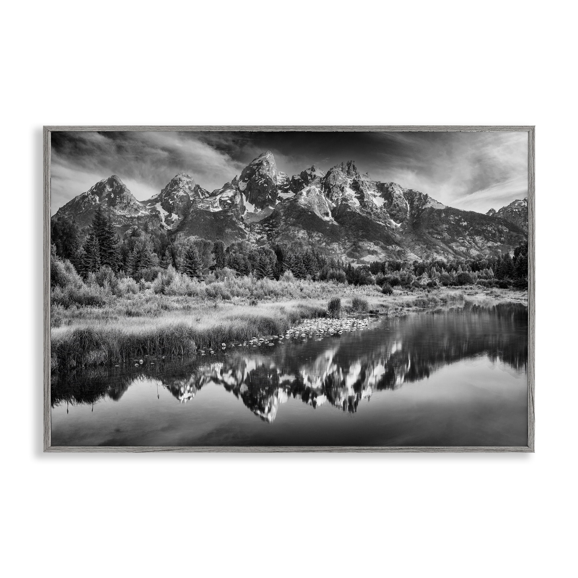 Stupell Industries Teton Mountain Reflections Gray Framed Giclee Art, design by Rick Berk