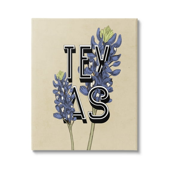 Stupell Industries Texas State Flower Bluebonnet Plant Sprigs Typography Graphic Art Gallery Wrapped Canvas Print Wall Art, Design by Daphne Polselli