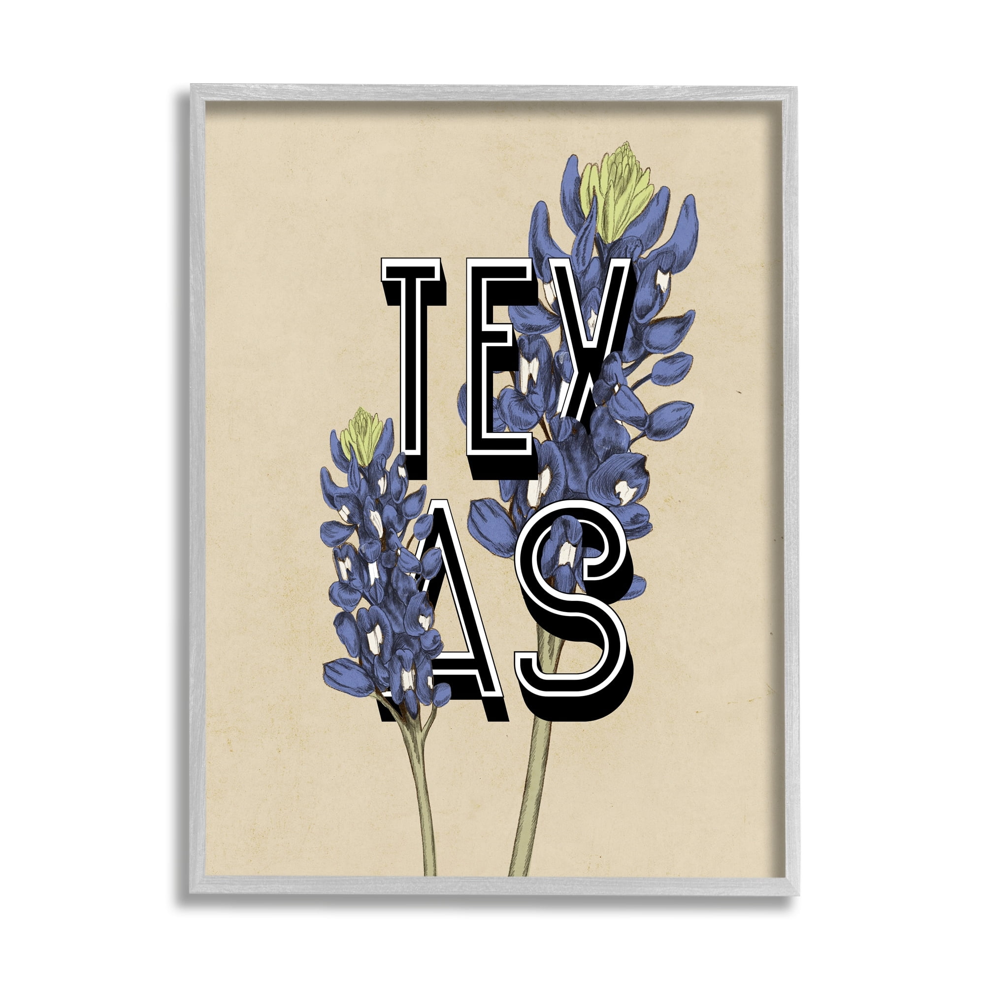 Stupell Industries Texas State Flower Bluebonnet Plant Sprigs Typography Graphic Art Gray Framed Art Print Wall Art, Design by Daphne Polselli