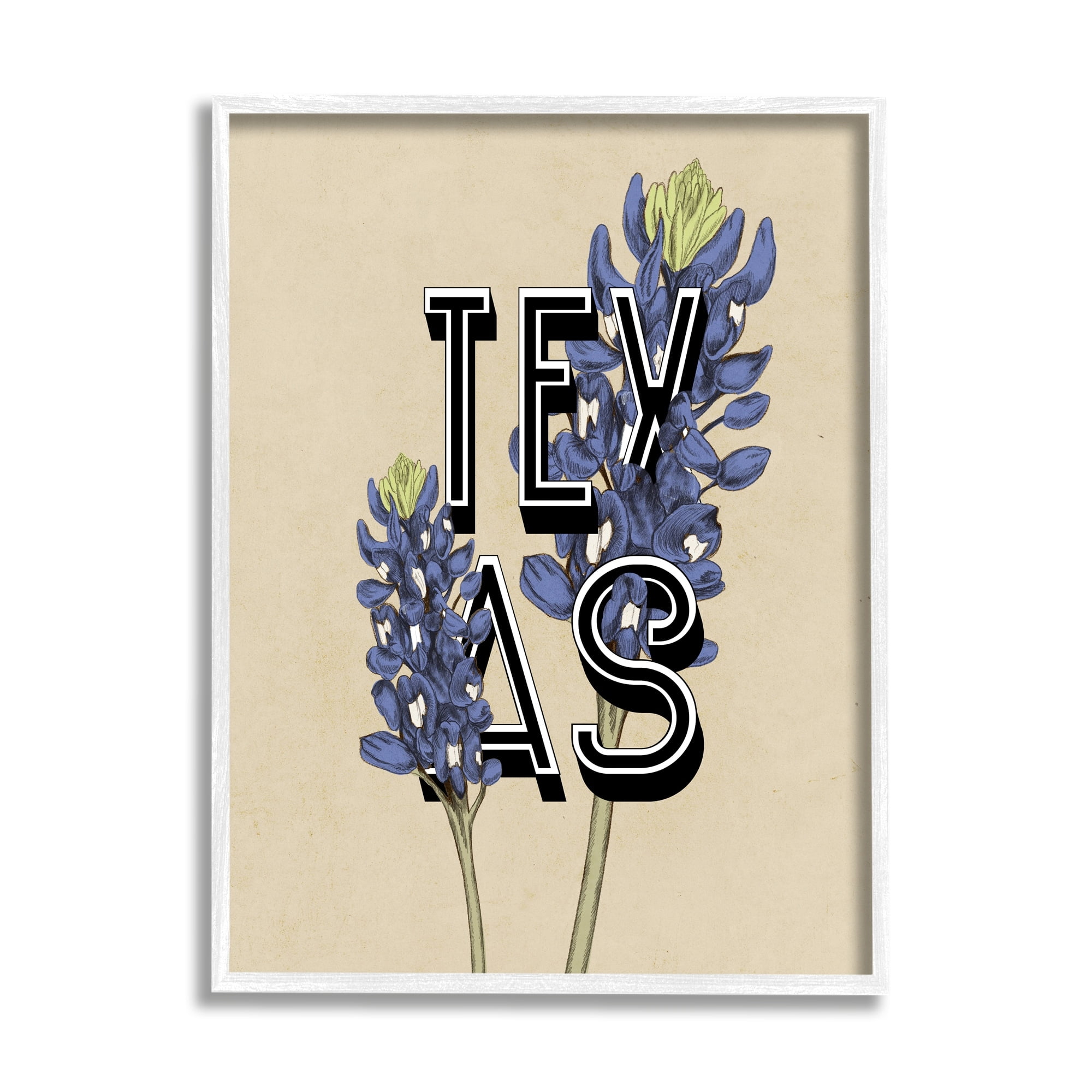 Stupell Industries Texas State Flower Bluebonnet Plant Sprigs Typography Graphic Art White Framed Art Print Wall Art, Design by Daphne Polselli