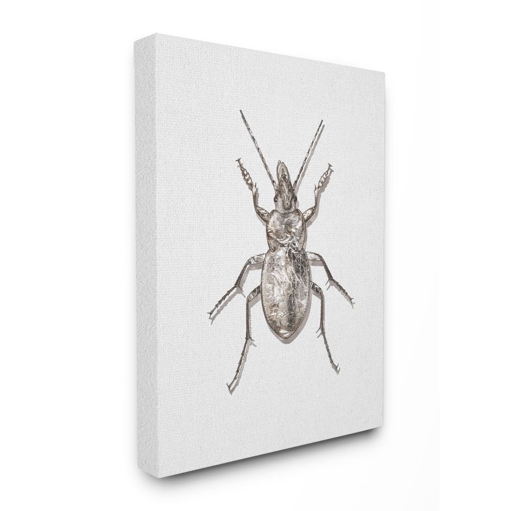 Stupell Industries Textured Beetle Minimal Shadow Brown White Design Canvas Wall Art Design by Ziwei Li, 36" x 48"