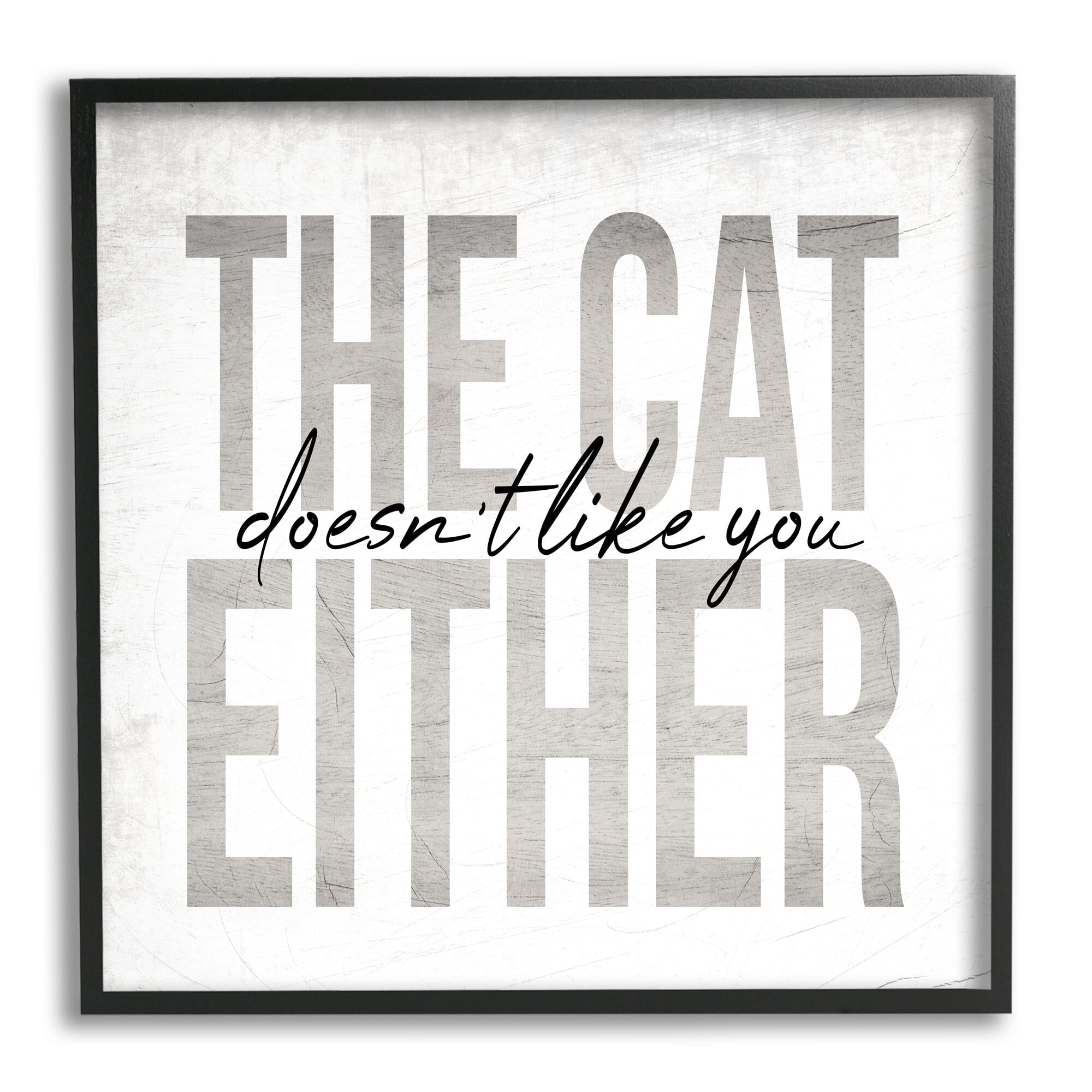 Stupell Industries The Cat Doesn't Like You Either Pet Phrase, 12 x 12, Design by Daphne Polselli