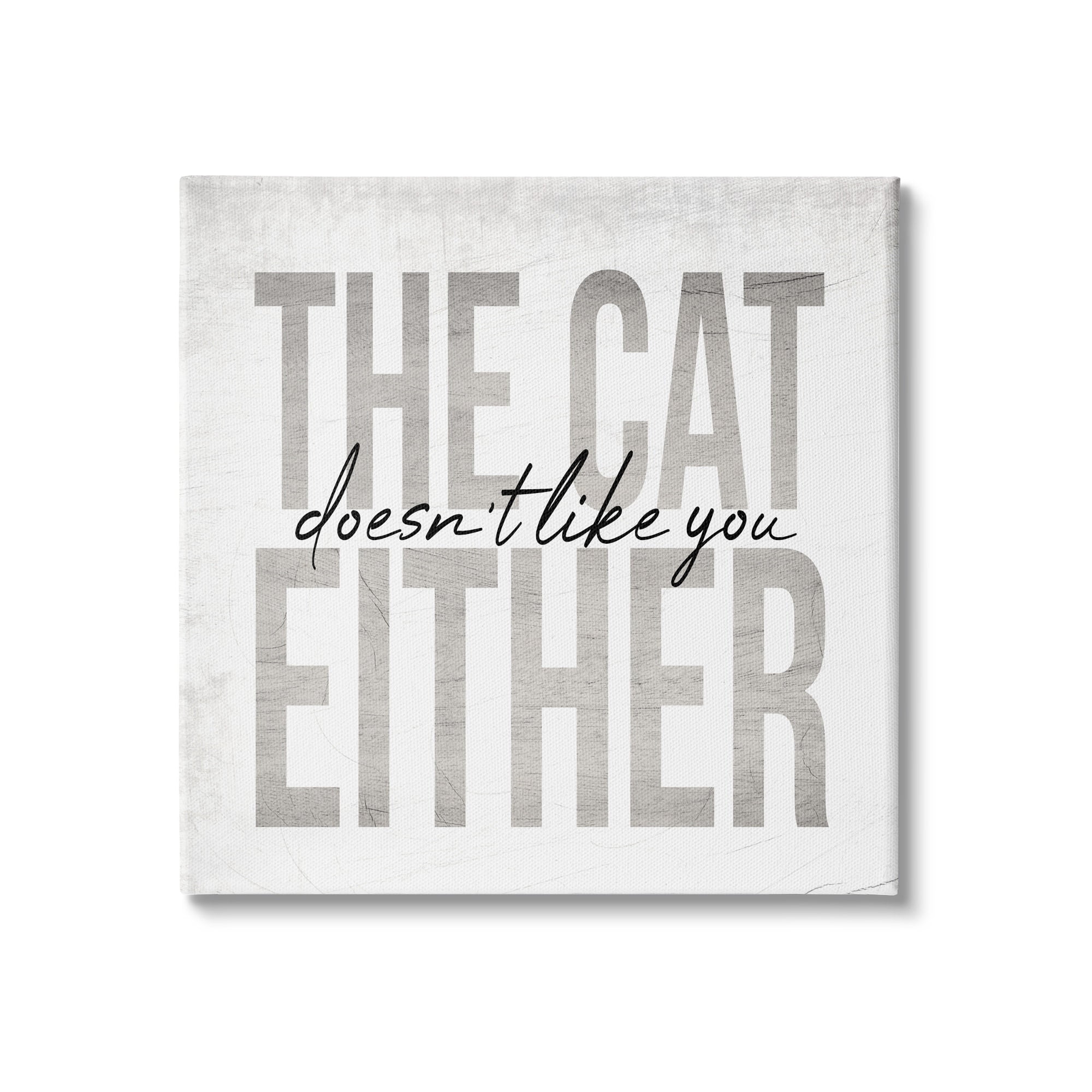 Stupell Industries The Cat Doesn't Like You Either Pet Phrase, 17 x 17, Design by Daphne Polselli